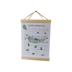Personalisiertes Audiogramm